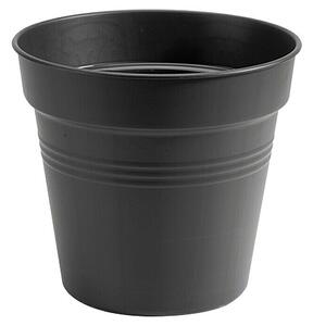 Elho Green Basics Cvetlični lonec (Maksimalni zunanji premer: 11 cm, Plastika, Črne barve)