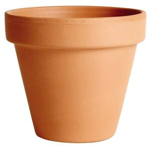 Cvetlični lonec Standard (Maksimalni zunanji premer: 11 cm, Terakota)