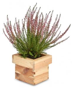 ATMOWOOD Lesen kvadratni cvetlični lonec 14 x 14 x 12 cm