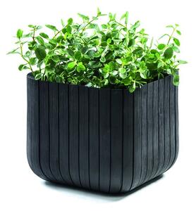 Plastičen cvetlični lonec Cube – Keter