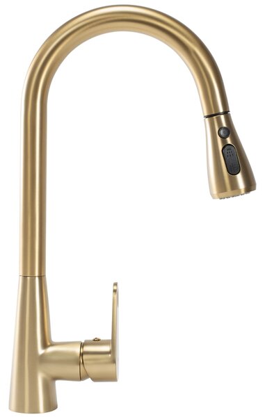 Rea Mild Kuhinjski mešalnik Gold Brushed
